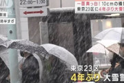 【悲報】東京の大雪、ガチでヤバすぎる…