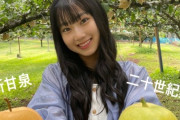 【朗報】AKB48さん、ガチで「とっとりの梨食べたいし（大使）」に任命される。任命式の開催も決定！