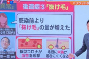 【画像】コロナかかっても大したことない派ってこれ見ても余裕でいられんの？