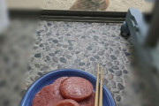 【画像】ワイの朝飯、イッヌに狙われる