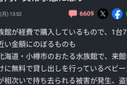 【悲報】水族館の無料貸出ベビーカー（1台7万）、続々と持ち去られる…