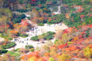 山の紅葉＝すっぴんでも美人 箱庭の紅葉＝メイクした美人