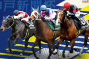 第72回 神戸新聞杯(G2).第70回 産経賞オールカマー(G2)