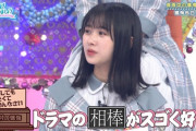 【日向坂46】ひなの"相棒愛"が規格外だったｗｗｗｗｗｗｗｗｗ