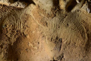 海外の反応　ネアンデルタール人の、最古の洞窟彫刻をフランスで発見 - 7万5千年前