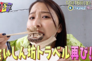 【予告動画公開】玉井詩織の食いしん坊トラベル再び!? 今夜公開『お手伝いももクロトラベル』予告動画 公開！