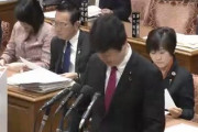 【国会質疑】維新の会・足立康史「国民は今も沢山の中国人が入国してると思ってる！今は800人前後まで減った！」あれ？今も中国人いっぱい入国してるアベやめろじゃなかったの？