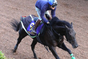 菊花賞3着ジャスティンパレスはマーカンドで有馬記念へ