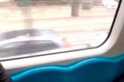 【ネコ】 電車の座席で横になってる奴がいた。そんなヤツは俺が注意してやる！ → 誰にもできません…