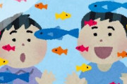 アクア民さん「年末に家を5日は空けるから水槽の魚に餌あげられない」 ← どうする？