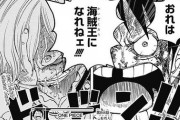 サンジ『この一味を抜ける！』ルフィ『お前がいないと！オレは！海賊王になれねぇ！』←良い話だよな