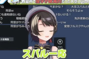 【悲報】人気Vtuber「教習所には通ったけど免許取れなかった」