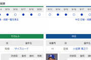 【実況・雑談】 9/21 中日vsヤクルト（神宮）18:00開始 先発:小笠原【中継：フジONE　DAZN他】