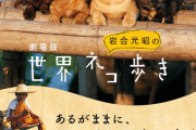 「岩合光昭の世界ネコ歩き」が再び映画化！語りは中村倫也「ニンマリできるでしょう」