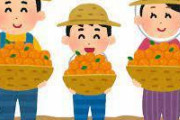 【疑問】みかん農家になろうかと思うんだが……