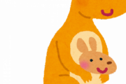 藤あや子さんちのネッコ前世がカンガルーだったことが判明ｗｗｗｗｗｗ
