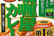 ?カレー星人「地球で最も美味いカレーを出せ」ワイ(来たな・・・！)