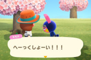 どうぶつの森、このご時世にとんでもなi要素を入れてしまうwwwww