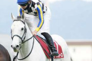 【競馬】　ガイアフォースが天皇賞・秋へ　鞍上は引き続き西村淳