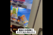 【動画】東京の自販機でネズミが販売される