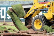 マツダスタジアムが天然芝を9年ぶりに全面張替えした理由「イレギュラーが起こりやすい」