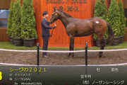 【セレクトセール2022】シーヴの2021(父ドゥラメンテ)2億2千万円で落札