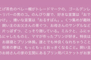 【悲報】ポムポムプリンと手下達、カチコミに来る