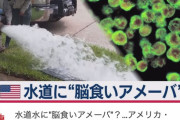 【速報】アメリカテキサス州の水道水に「脳食いアメーバ」水道使用中止にwywywywywywywywywy