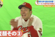 鈴木誠也(25).334 24本 75打点 OPS1.024←こいつが騒がれない理由