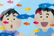 アクアリウムで子供と触れあうのにいい魚ってなんだろう？
