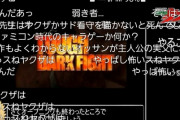 【狂気】RTA走者「あーやべっ…つっかかったじゃねぇかよ～（リセットポチー）」←これを繰り返すという事実