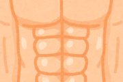 1日30回の腹筋で腹筋割れる？