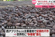 米騒動が騒がれてるけど俺は今後来るカカオ騒動が心配だよ…