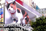 海外「本物の猫のリアクションも気になるｗ」新宿の街中に出現した巨大3D三毛猫に驚き