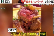 【速報】飲めるハンバーグを食べた人、『恐ろしい病気』を発症