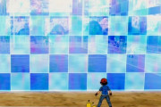 【ポケモン剣盾】トリックルームって誰に張らせるのが主流？