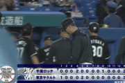 交流戦順位表(5月29日)ロッテ引き分けで連勝ストップ回避、広島が唯一の連勝で単独首位