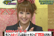 【悲報】歴代ゴチ女性メンバーの現在