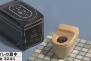 便器型もなかにあんこを詰めた「トイレの最中(さいちゅう)」が大ヒット