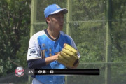 【試合実況】西武２軍スタメン 先発：伊藤翔×吉田輝星（2019.8.7）　