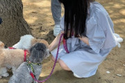 【STU48 高雄さやか】さーやん、人生初の犬の散歩に挑戦