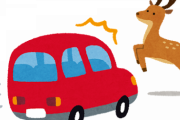 【速報】ワイの車、鹿に激突する