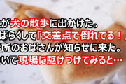 父が犬の散歩に出かけたんだけど、「交差点で倒れてる！」と近所のおばさんが知らせに来た。急いで現場に駆けつけてみると…