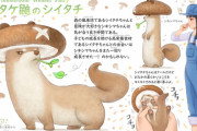 海外「日本人アーティストが描く野菜動物がキュートすぎる！！」