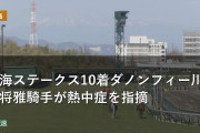 東海ステークス10着ダノンフィー川田将雅騎手が熱中症を指摘