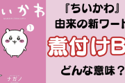 『ちいかわ』から新ワード“煮付けBL”が爆誕！「あの関係性に煮付けって名称がつくとは…」