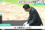 【画像】　民主党のほうがマシだったとか言ってるやついるけどマジ言ってんの？