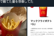 【画像】普通の日本人、マックのポテトのＬの量が少ないとかゆって家までポテトのＬを持ってこさせてしまう