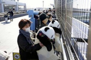 【画像】「シャンシャン」の見送りをするため、ぬいぐるみを手に成田空港展望デッキに集まった人たちｗｗｗｗｗｗｗ