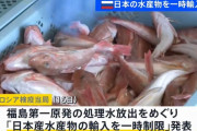 ロシア、中国による日本産海産物の輸入制限措置に参加を表明！